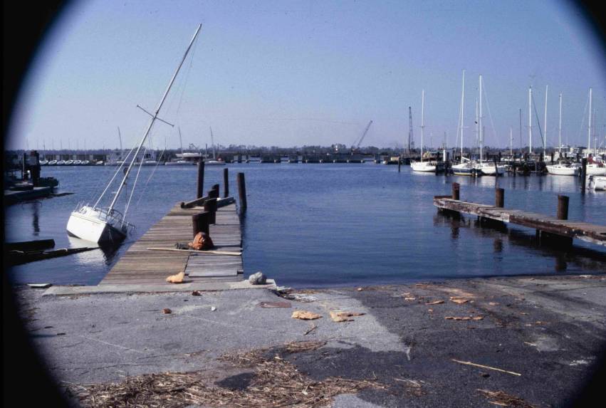 Charleston City Marina (Bryan Stone)